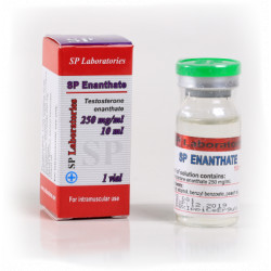 SP Enanthate - Testosterone Enanthate 250 mg