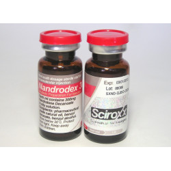 Nandrodex 300 - Buy Deca Durabolin (Nandrolone) for injection