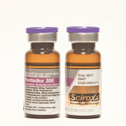 Pentadex 300 - Buy Testosterone mix (Sustanon) for injection