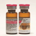 Testodex Propionate 100 - Buy Testosterone Propionate for injection