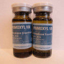 Primoxyl 100 - Primobolan (Methenolone Enanthate)