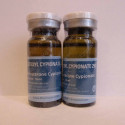 Testestoxyl - Testosterone Cypionate 250